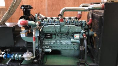 China 120kw Natural Gas Generator With V Cylinder Arrangement And Customized for sale