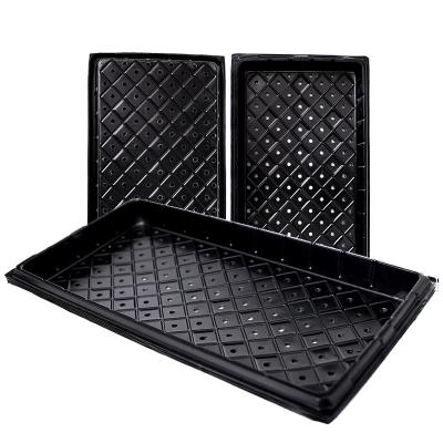 China Seed Planting Seedlings Plant Trays Starter Growing Seed Raising Flat Seed Sprouter Tray Hydroponics for sale