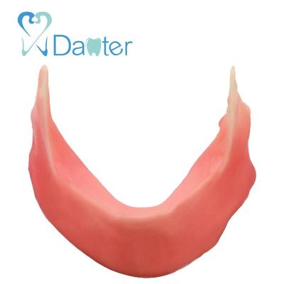 China Wholesale Dental Model Hospital Clinic University Mandibular Jaw Model with Silicone for Dentist Practice for sale