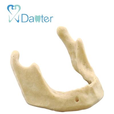 China Hospital Clinic University Best Price Dental Drilling Practice Model For Implant Jaw Teeth Practice for sale