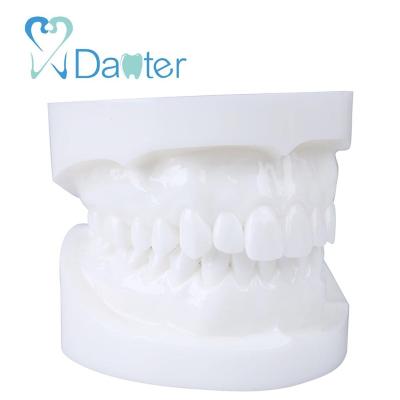 China Wholesale Hospital Clinic University Size Standard Natural Model With White Color For Teaching Dental Model for sale