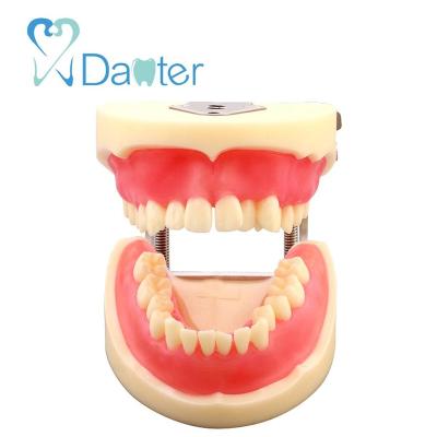 China Hospital Clinic University New Design Dental Extraction Forming Dental Model For Practice And Study for sale