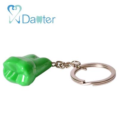 China New Type Molar Key Chain Dental Gifts for sale