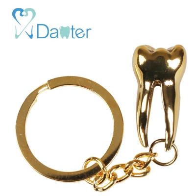 China New Type Molar Key Chain Dental Gifts for sale