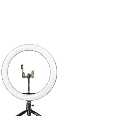 China Hot Sale Portable Cell Phone Dimmable Fill Lamp 10 Inch Selfie Ring Light PORTABLE for sale