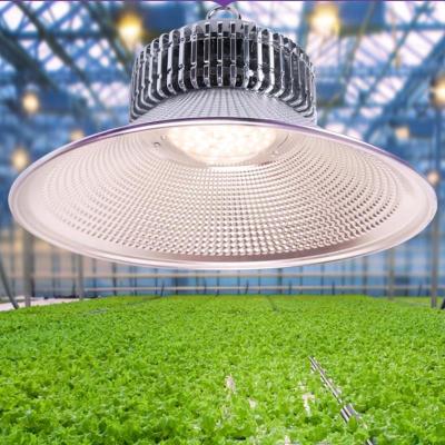 China Easy install various types of Agricultural Greenhouses LED Plant Growth Light which include Plant Growth Light Full Spectrum LED Light for sale