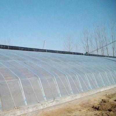 China PE Chinese style tunnel greenhouse /warm greenhouse /high insulation half greenhouse and three wall greenhouse for sale