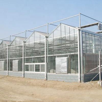 China Various types of glass agricultural greenhouses which include glass greenhouse /steel /multi span greenhouse /Venlo aluminum structure for sale