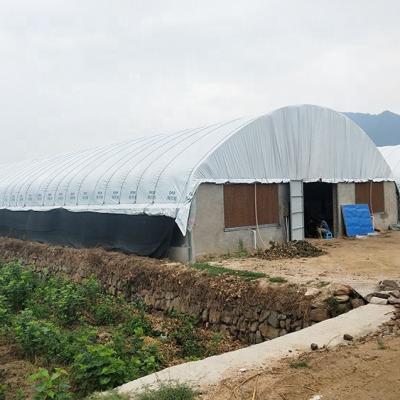 China PE various types of agricultural greenhouses which include plastic coated oval tube poultry farming greenhouse /animals greenhouse for sale