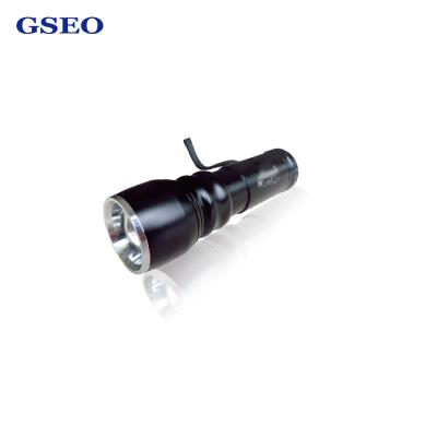 China Camping Design Projection 80 Lumen Flashlight for sale