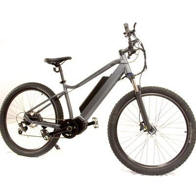 China Standard Man Bike Electric Mountain Bike With Hydraulic Brake for sale