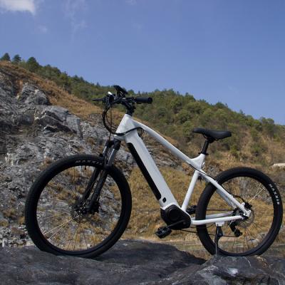 China 48V 500W standard adult cheap electric mountain bike with suspension fork for sale