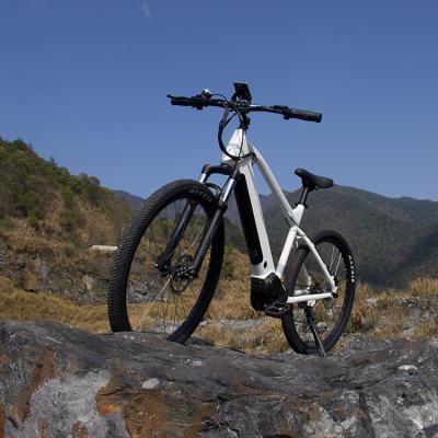 China Standard Cheap Price 7 Speed ​​Electric Mountain Bike For Kids for sale