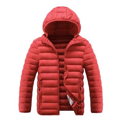 China 2021 Anti-wrinkle fashion style men's stripper jacket plus size man winter wholesale jacket for sale