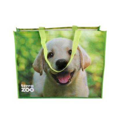 China Best 100%eco friendly durable hot selling chinese produce bags for auchan groceries avon bag for sale