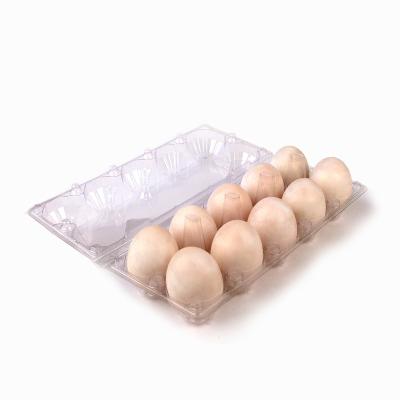 China Food Tray Factory Low Price Bulk Sale Clamshell Packaging Egg Holder Container Package Eggs Plastic For 10 Pcs Blister Other Food PET for sale