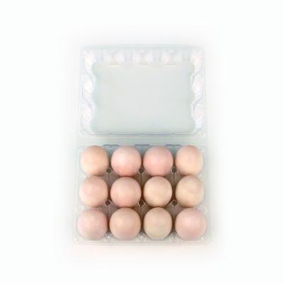 China Factory 12pcs Food Egg Tray OEM ODM Bulk Sale Eco Friendly Plastic Egg Pack Transparent Egg Container for sale