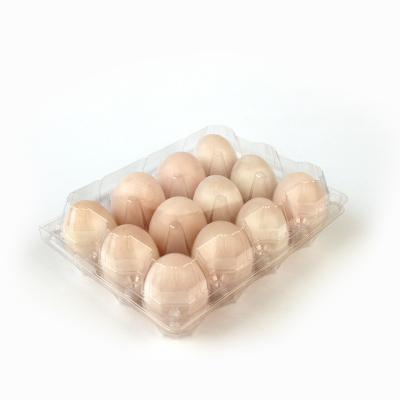 China Wholesale Durable 12 Eggs Grid Trays Disposable Chicken Agriculture PET Disposable Egg Tray Plastic With Cover for sale