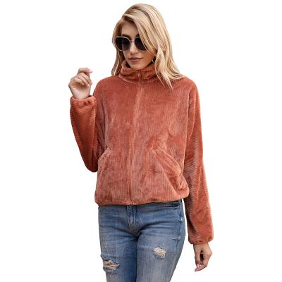 China Autumn and Winter Women's Anti-wrinkle Full Zipper Crop Top Women's Fashion Sweater Coat Long Sleeve Top Coat for sale