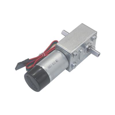 China 90rpm High Torque DC Worm Gear Motors 6V 12V With Dual Shaft Encoder for sale