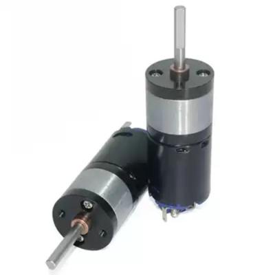 China Miniature Straight Dual Shaft Dc Gear Motor 6v 12v 25mm 2000rpm for sale