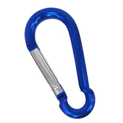 China Portable HXY 100*50*10MM Large In Stock Price 10# Custom Bulk Carabiner Squash Shaped Tiny Carabiner Carabiner Key Chain For Gift for sale