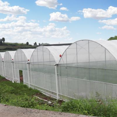 China Easily Assembled Plastic Sheet Greenhouse Low Tunnel Greenhouse For Tomato Growing Green House Agriculture Outdoor Medical Planting for sale