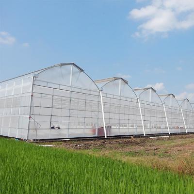 China Large Plastic Vegetable Single Leaf Greenhouse Easily Assembled Multispan Agricultural Greenhouse for sale