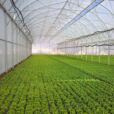 China Easily Assembled Agricultural Greenhouses Multispan Greenhouses For Microgreens Growing System for sale