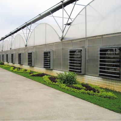 China Easily Assembled Multispan Industrial Greenhouse With Smart Farm Equipment And Plant Hydroponics Growing System for sale