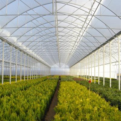 China Easily Assembled Green House Plastic Agricultural Manufacturers Frame Greenhouse Tunnel Tunnel House For Outdoor Planting for sale