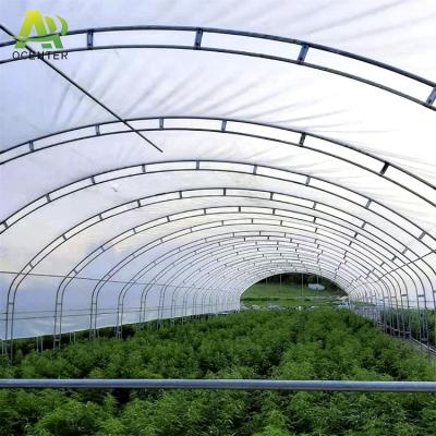 China Green House Producers Vegetable Flowers Single-span Agricultural Plastic Film Tunnel for sale