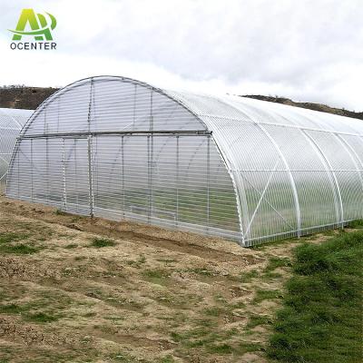 China Single Span Greenhouse Greenhouse Flowers Fruits Outdoor Plastic Grow Simple Structure And Economic Green Tunnel House Plastic Plastic Sheet for sale