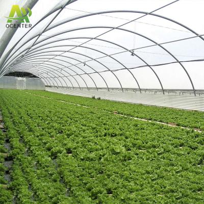 China Single-span Tunnel Green House Fruit Vegetable Flowers Agricultural Plastic Sheet Greenhouse for sale