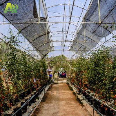 China Fruit Vegetable Flowers Span Tunnel Green House Cover Agricultural Simple Plastic Greenhouse For Indoor Plant Breeding for sale