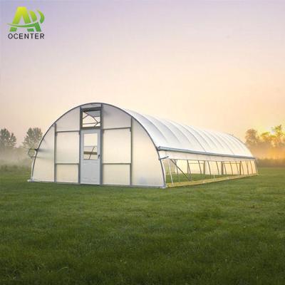 China Fruits Vegetable Flowers Commercial Industrials Other Greenhouses Single To Spanning Tunnel High Tomato Plastic Agricultural Greenhouse for sale