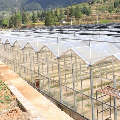 China Agriculture Planting Glass Agricultural Greenhouse Turnkey Project Complete With Hydroponic Growing System for sale