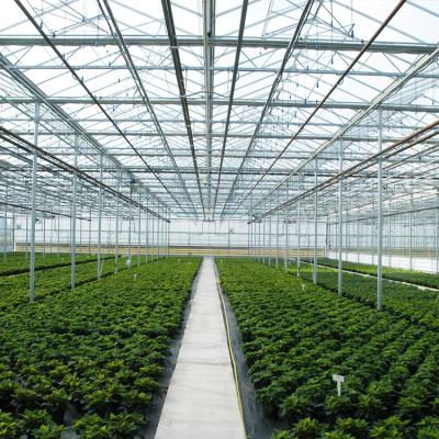 China Agriculture Planting Multi-span Intelligent Glass Greenhouse Hydroponic Agriculture Greenhouse for sale