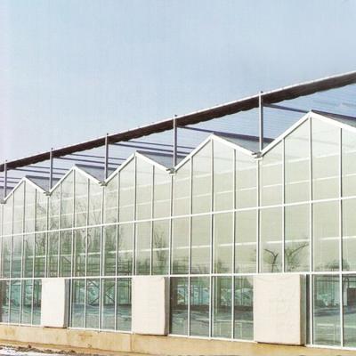 China Agriculture Planting Commercial Farm Tempered Green House Agricultural Glass Greenhouse for sale