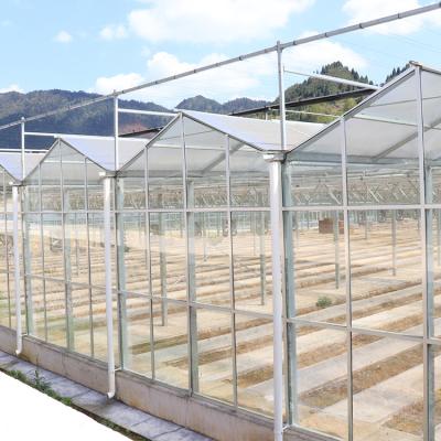 China Agriculture planting serra di vetro 4mm double plate tempered greenhouse glass open roof glass greenhouse for strawberry planting for sale