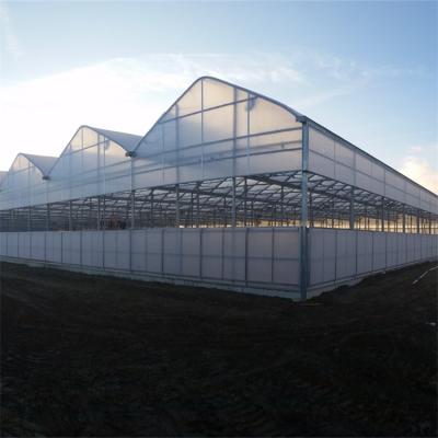 China Green House Easily Assembled Custom Shatterproof Polycarbonate Coated Greenhouses for sale