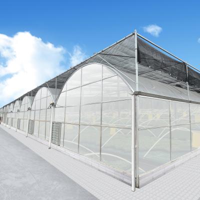 China Easily Assembled Garden Greenhouse Polycarbonate Greenhouse Film Greenhouse for sale