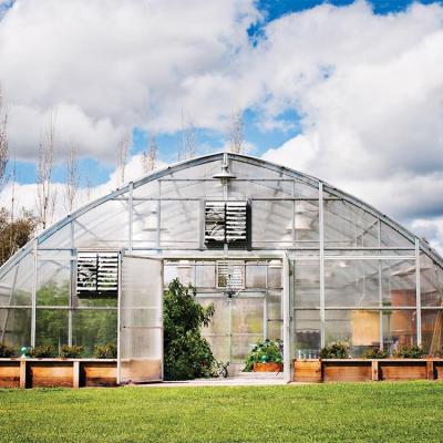 China Easily Assembled Hydroponic Greenhouse Polycarbonate With Whole Complete Hydroponic Farming Systems for sale