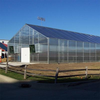 China Easily Assembled Green Greenhouse Polycarbonate Natural Garden Tunnel Houses For Plant for sale