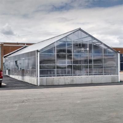 China Easily Assembled Modern Venlo Polycarbonate Greenhouse Glass PC Sheet Agricultural Greenhouses Supply Green House for sale