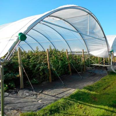 China Easily Assembled Tunnel Film Rain Shelter Greenhouse For Outdoor Grape Planting Plastic Sheet Rain Cover Tunnel Greenhouse for sale