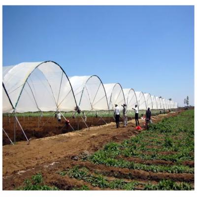 China Easily Assembled Outdoor Rain Shelter Green House Tent Growing Greenhouses Garden Yard For Outdoor Berry Planting for sale