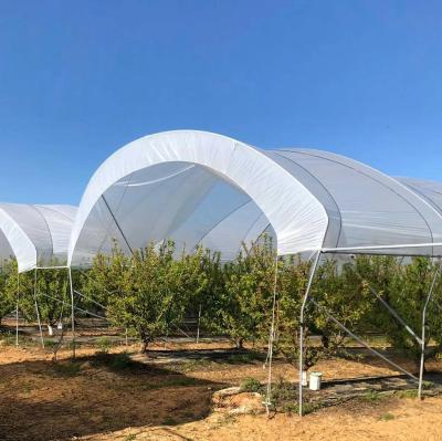 China Easily Assembled Plastic High Rain Tunnel Shelter Greenhouse Rain Cover For Green Shelter House For Tomato Planting for sale