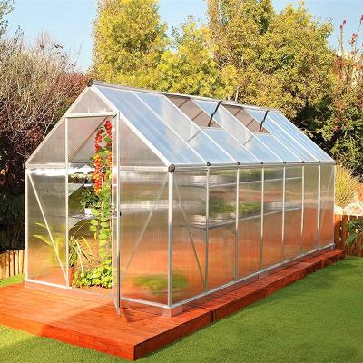 China Greenhouse Flower Home Use Garden Greenhouse Easily Assembled Outdoor Tunnel Garden Planting Flowers and Home Medical for sale