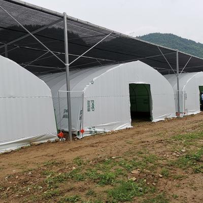 China Vegetable Fruits Flowers Scatter Greenhouse PE Film Tunnel Growing Greenhouse For Vegetable Grow Tents With Galvanized Steel for sale